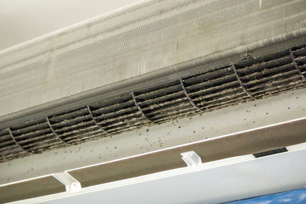 Best Affordable Duct Cleaning Services  in Louisville, GA